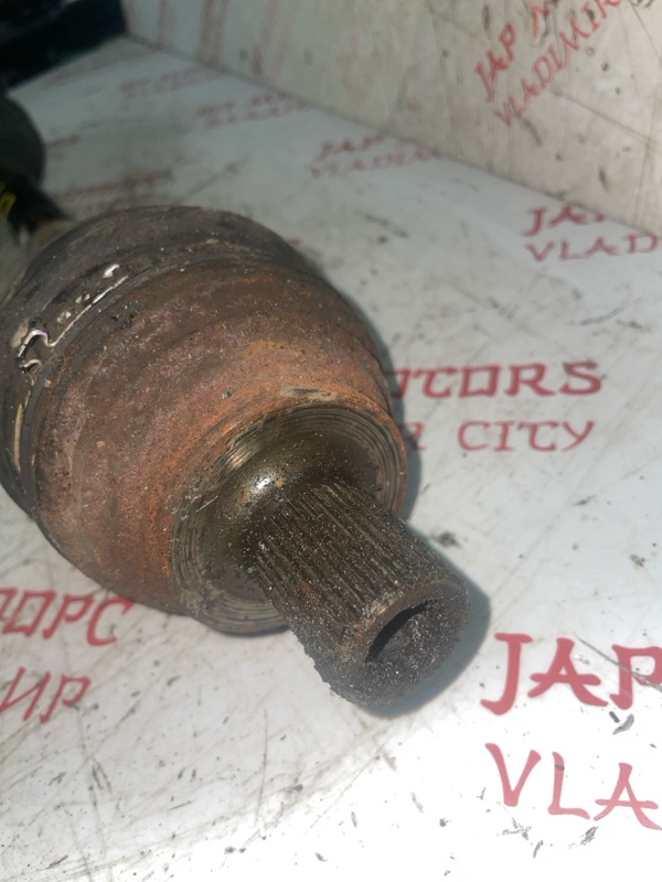 Привод, 3000 рублей, Владимир