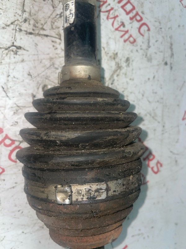 Привод, 3000 рублей, Владимир