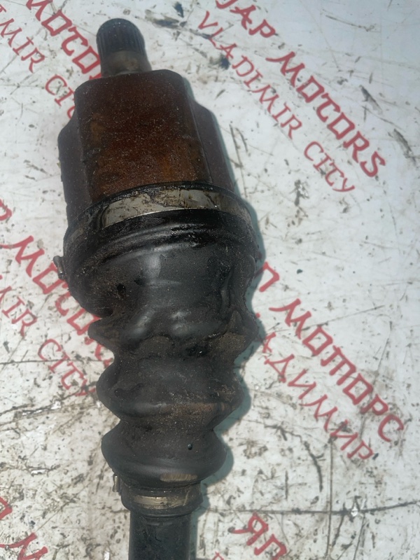 Привод, 3000 рублей, Владимир