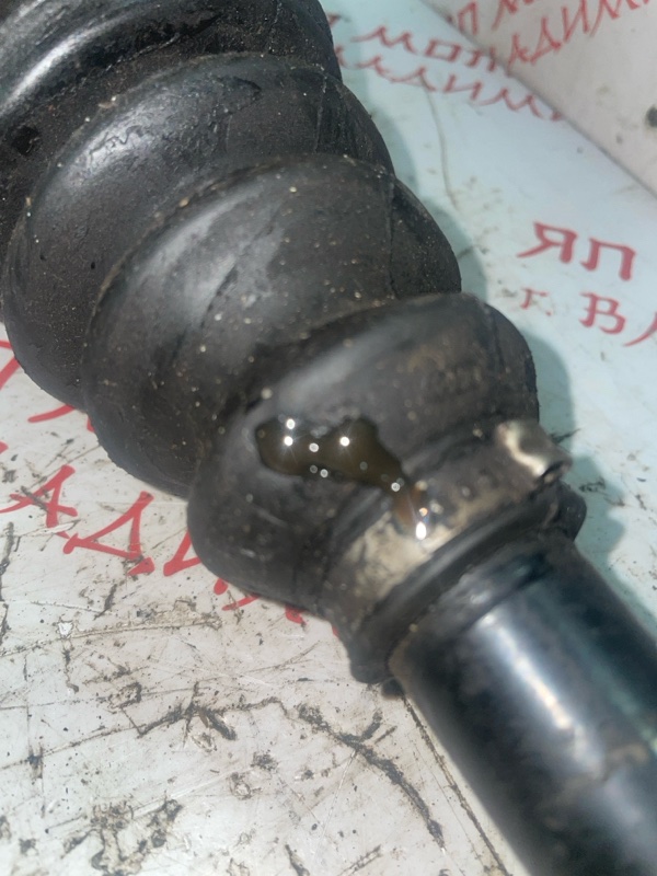 Привод, 3000 рублей, Владимир