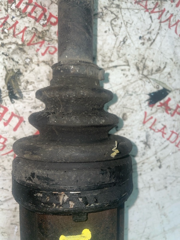 Привод, 5000 рублей, Владимир