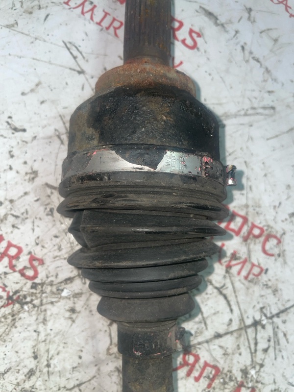 Привод, 5000 рублей, Владимир