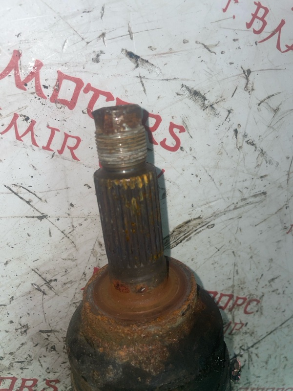 Привод, 5000 рублей, Владимир