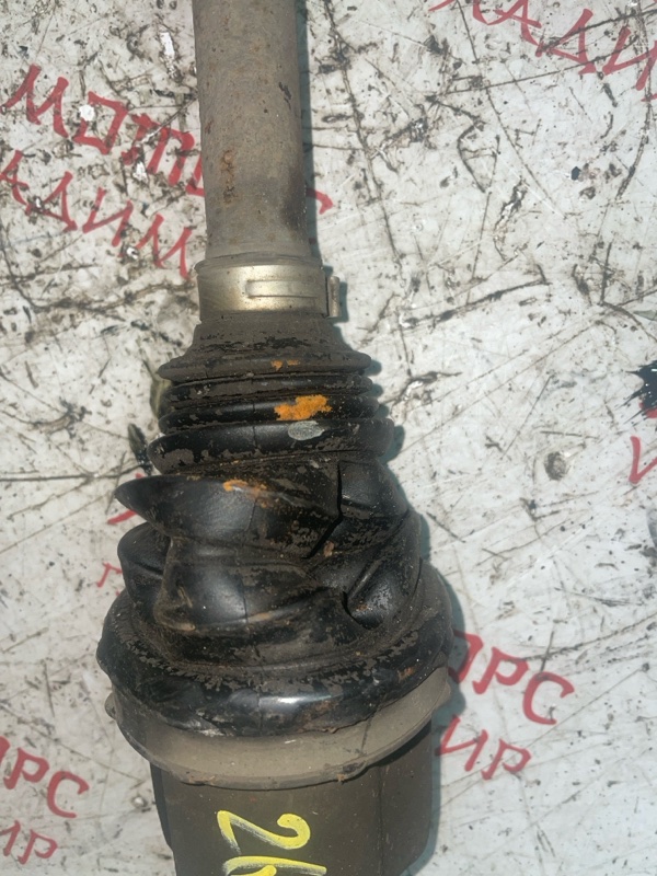 Привод, 7000 рублей, Владимир