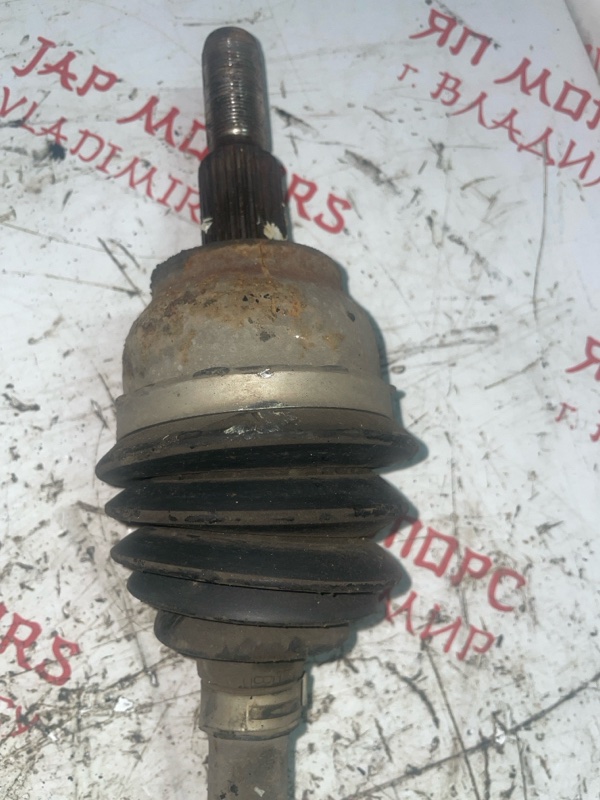 Привод, 7000 рублей, Владимир