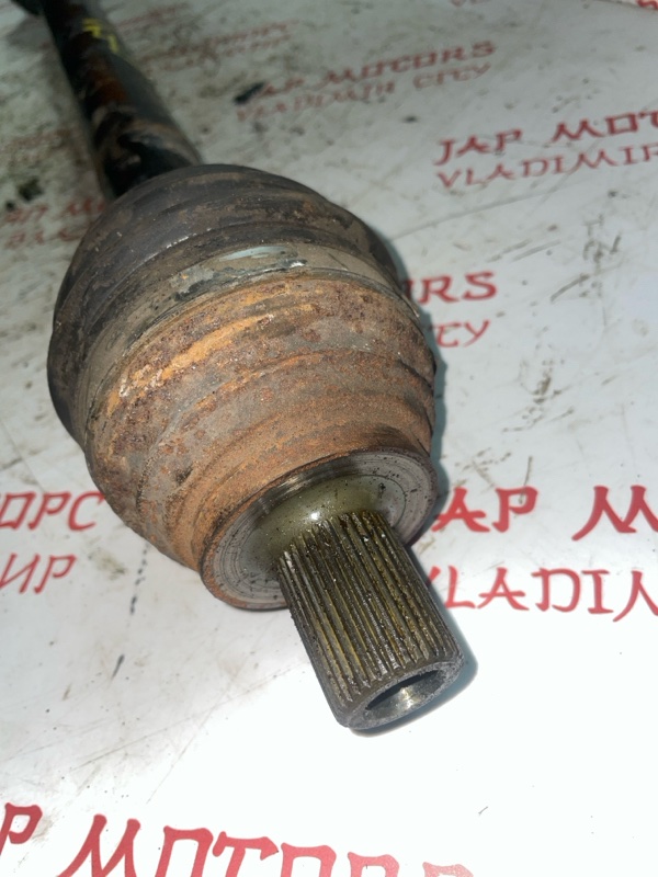 Привод, 4000 рублей, Владимир