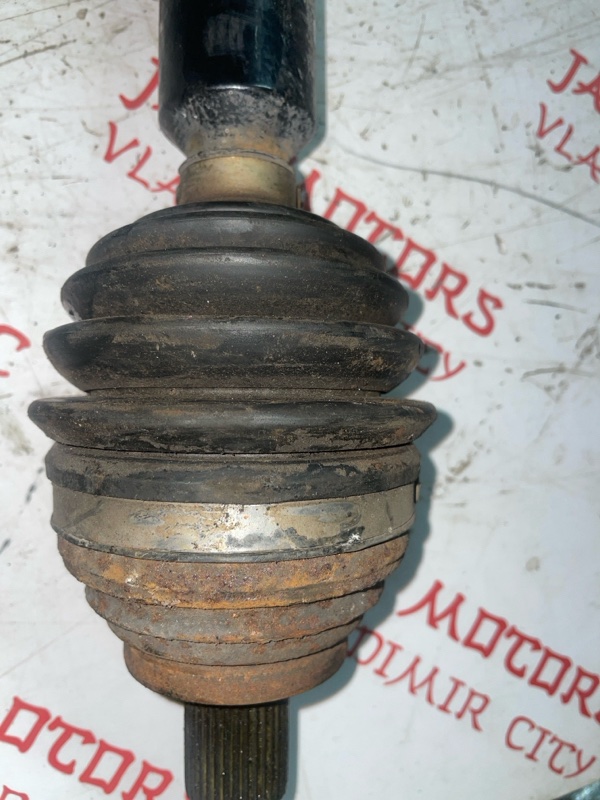 Привод, 4000 рублей, Владимир