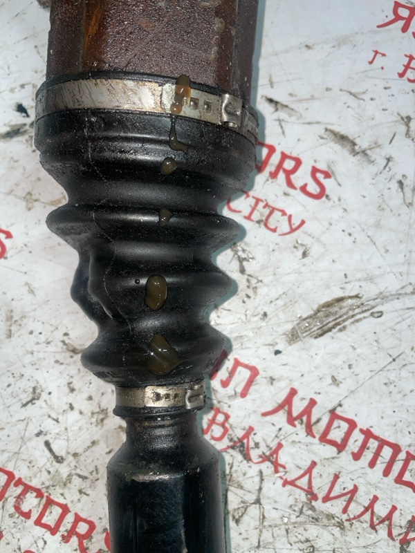 Привод, 4000 рублей, Владимир