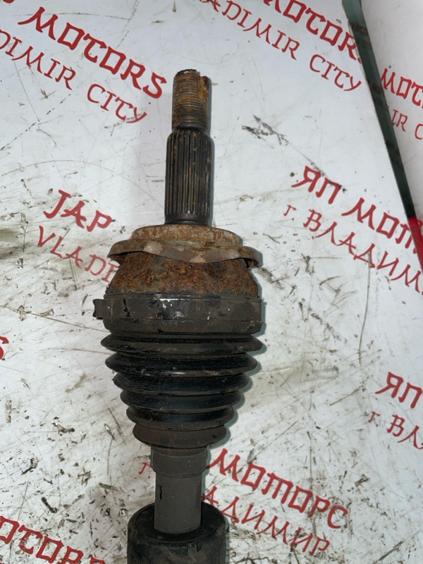 Привод, 6000 рублей, Владимир