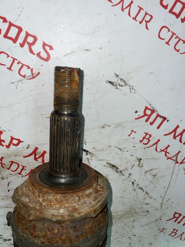 Привод, 6000 рублей, Владимир