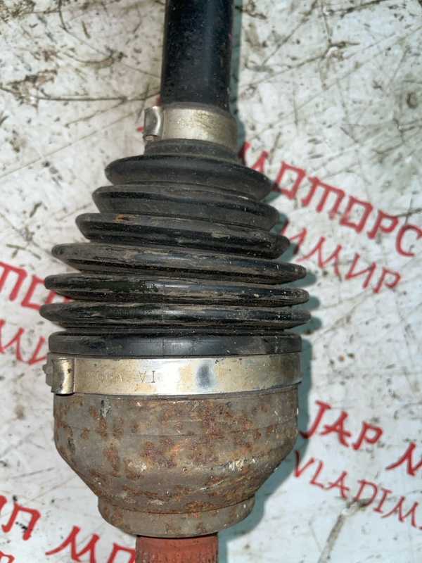 Привод, 7000 рублей, Владимир