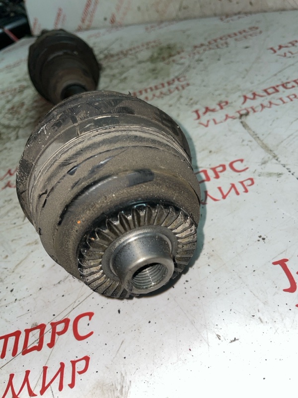 Привод, 7000 рублей, Владимир