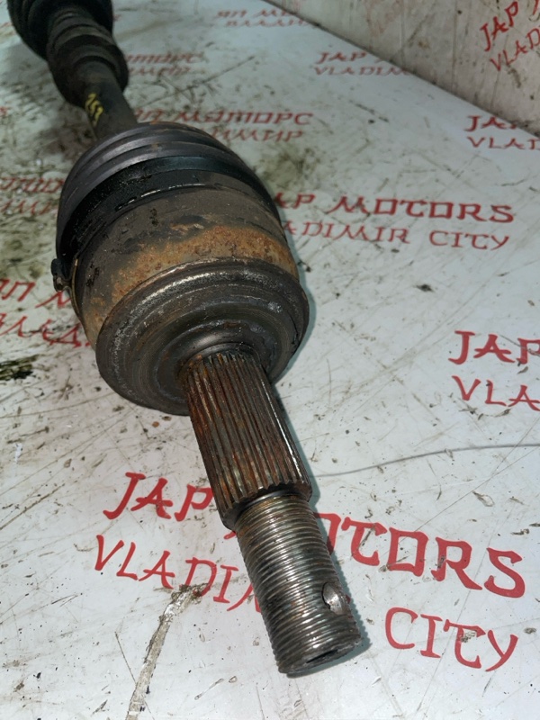 Привод, 4000 рублей, Владимир