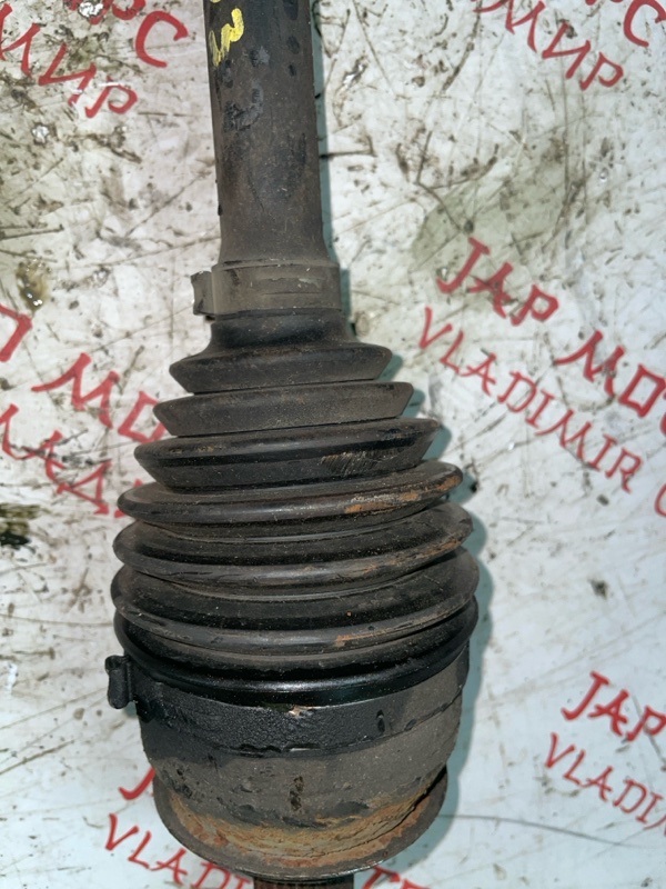 Привод, 4000 рублей, Владимир