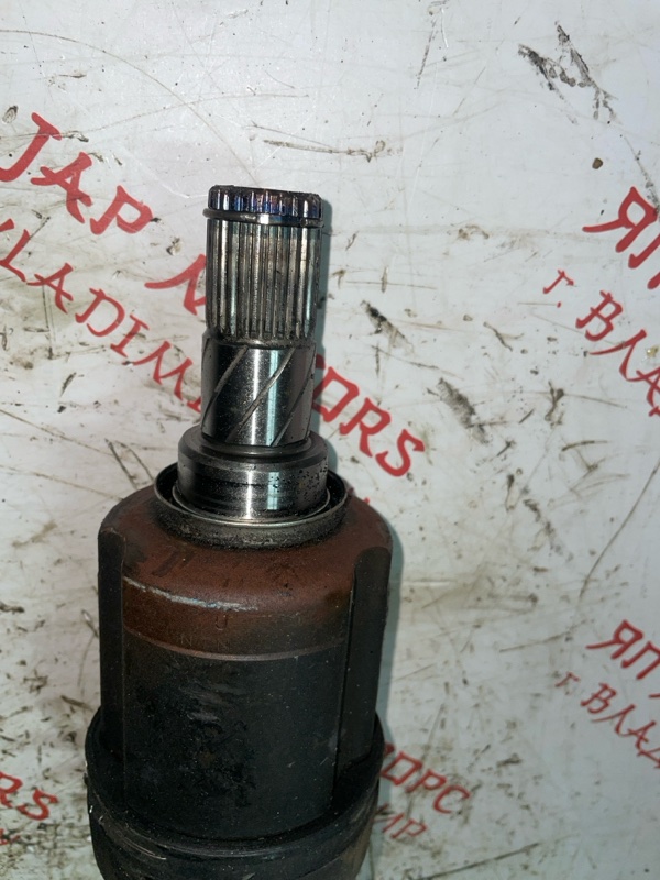 Привод, 4000 рублей, Владимир