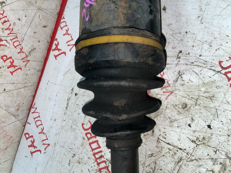 Привод, 4000 рублей, Владимир