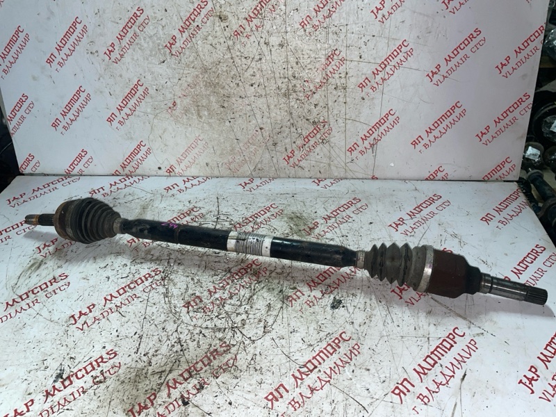 Привод, 6000 рублей, Владимир