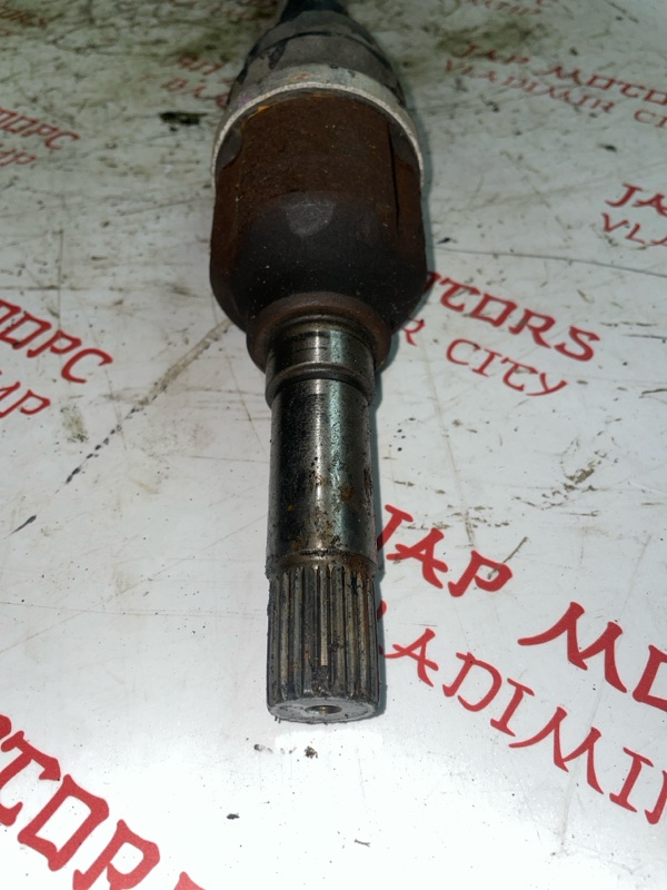 Привод, 6000 рублей, Владимир