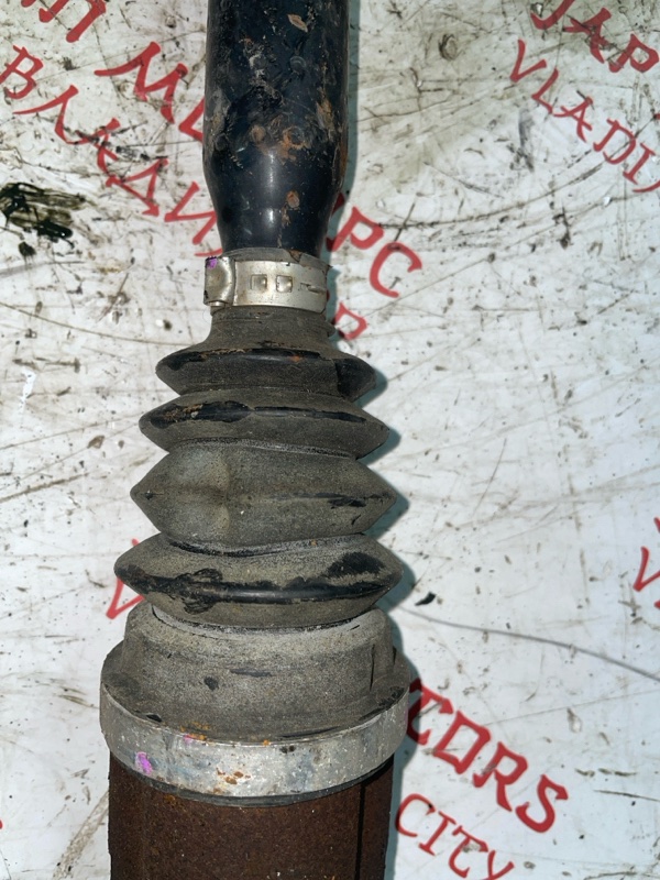 Привод, 6000 рублей, Владимир