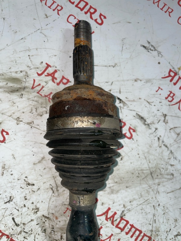 Привод, 6000 рублей, Владимир