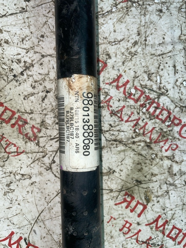 Привод, 6000 рублей, Владимир