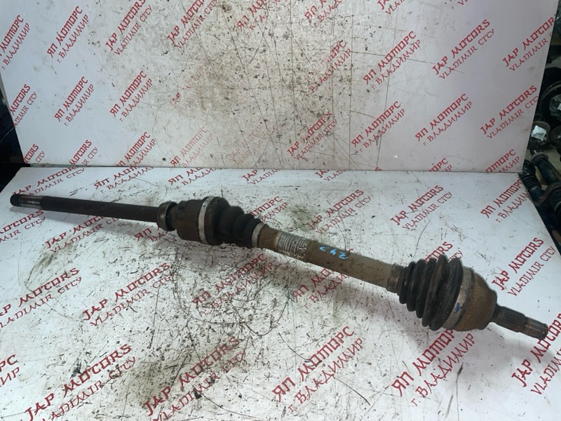 Привод, 5000 рублей, Владимир