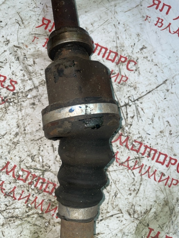 Привод, 5000 рублей, Владимир