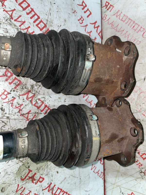 Привод, 2000 рублей, Владимир