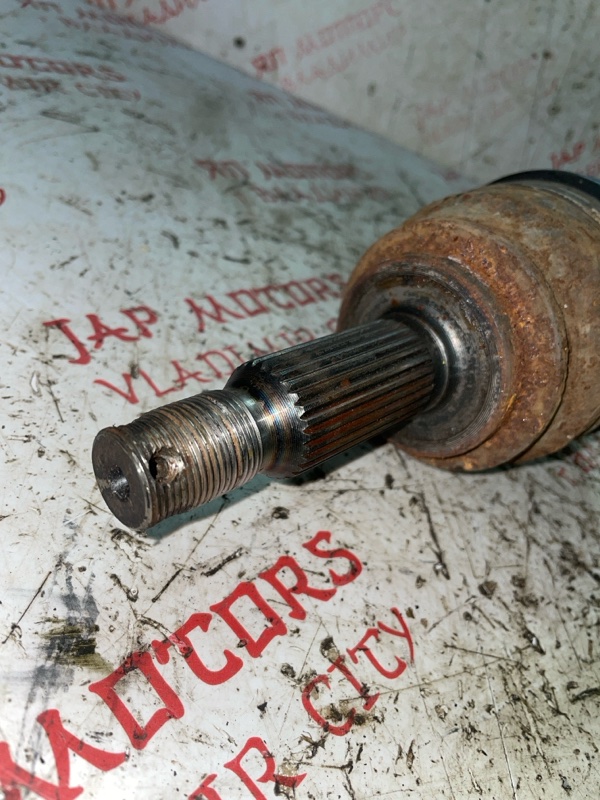 Привод, 3000 рублей, Владимир