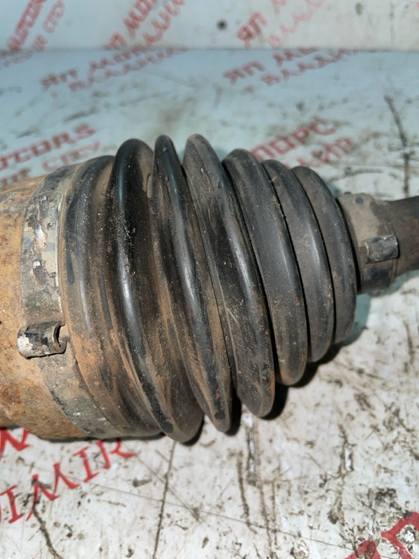 Привод, 3000 рублей, Владимир