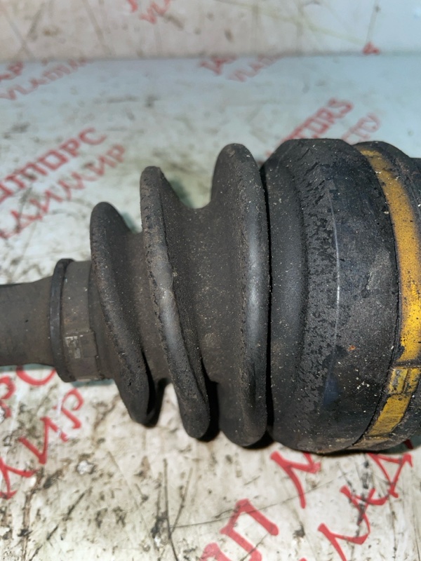 Привод, 3000 рублей, Владимир