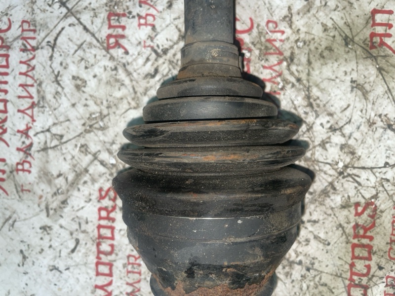 Привод, 8000 рублей, Владимир