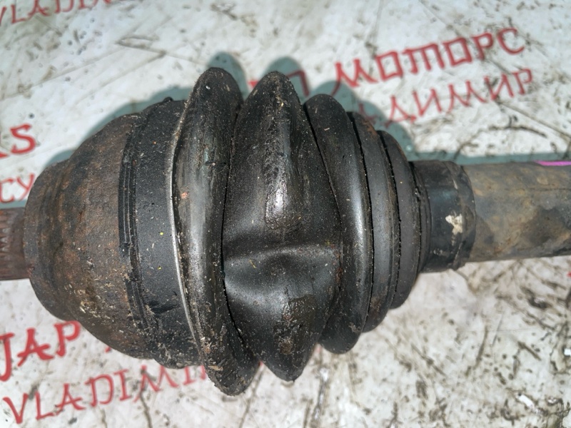 Привод, 4000 рублей, Владимир