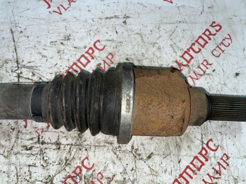 Привод, 4000 рублей, Владимир