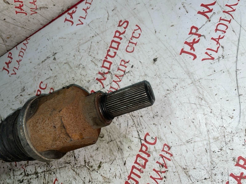 Привод, 4000 рублей, Владимир