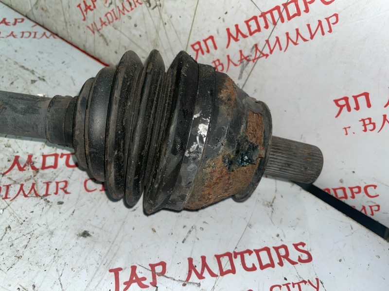 Привод, 7000 рублей, Владимир