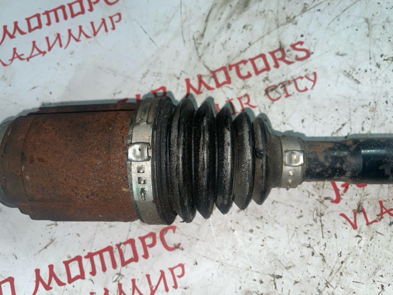 Привод, 6000 рублей, Владимир