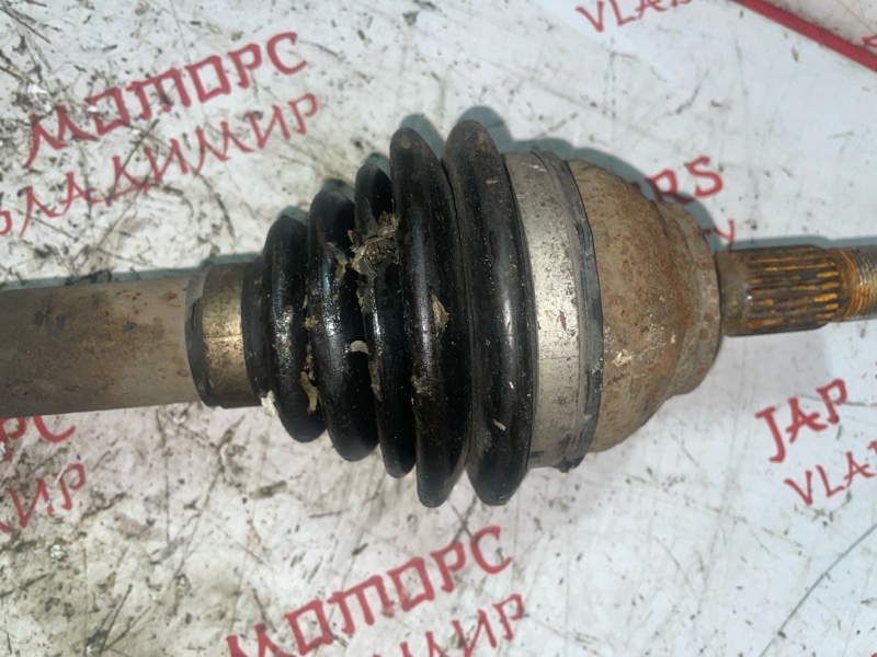 Привод, 4000 рублей, Владимир