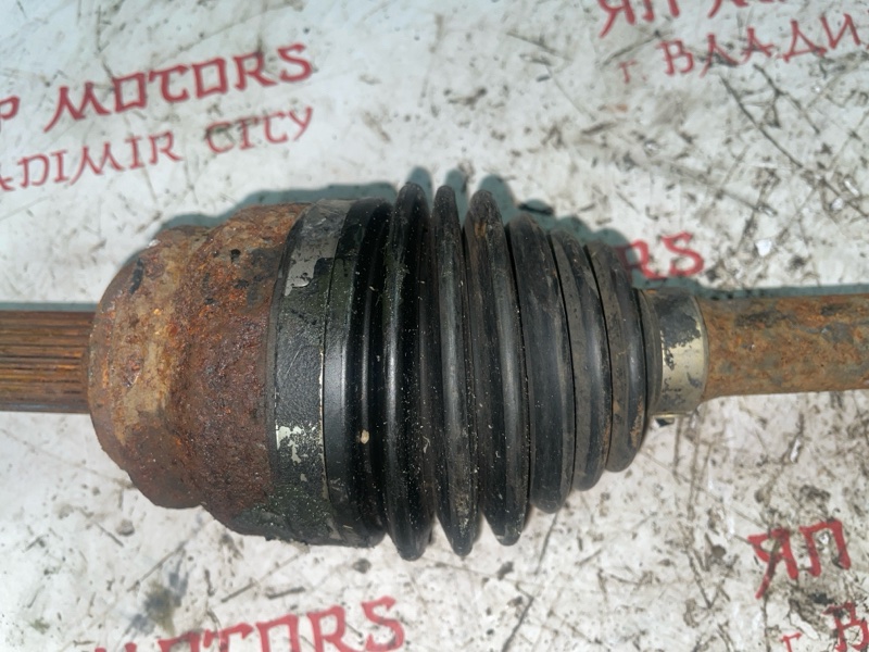 Привод, 4000 рублей, Владимир