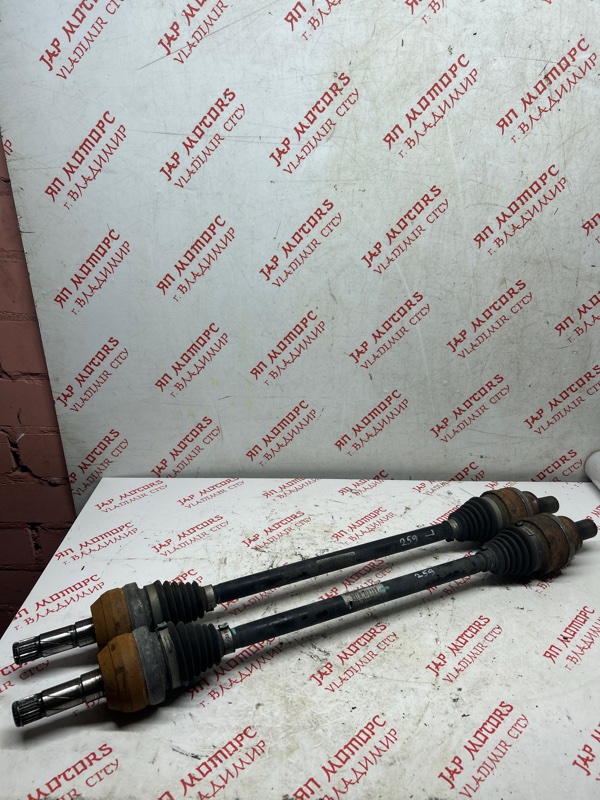 Привод, 10000 рублей, Владимир