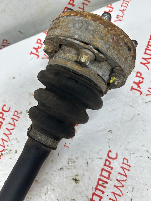 Привод, 8000 рублей, Владимир