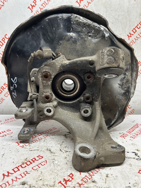 Кулак поворотный, 2000 рублей, Владимир