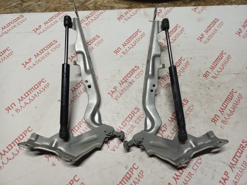 Петля капота, 3000 рублей, Владимир