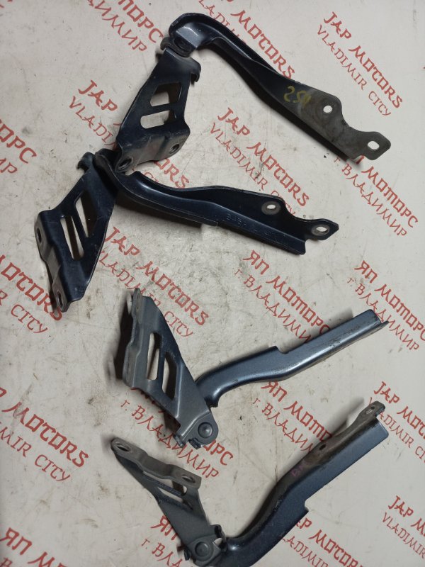 Петля капота, 2000 рублей, Владимир