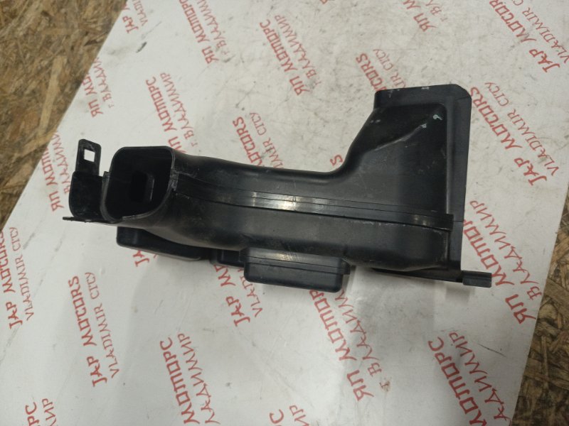 Резонатор воздушного фильтра, 1000 рублей, Владимир