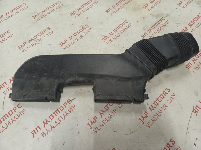 Воздухозаборник, 1000 рублей, Владимир