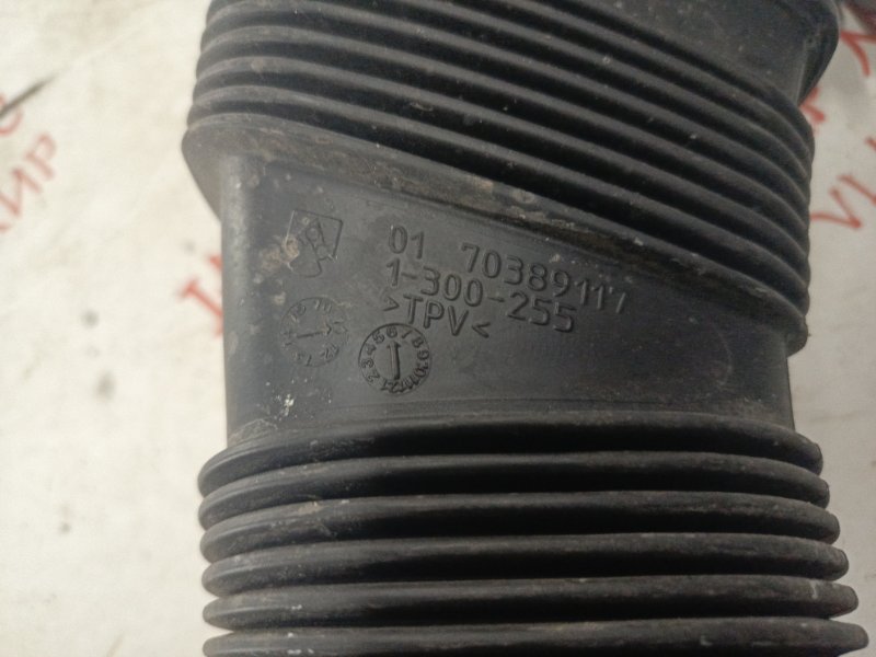 Воздухозаборник, 1000 рублей, Владимир