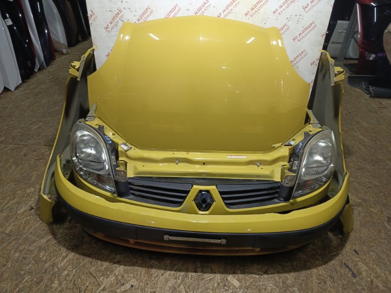 Ноускат, 48000 рублей, Владимир