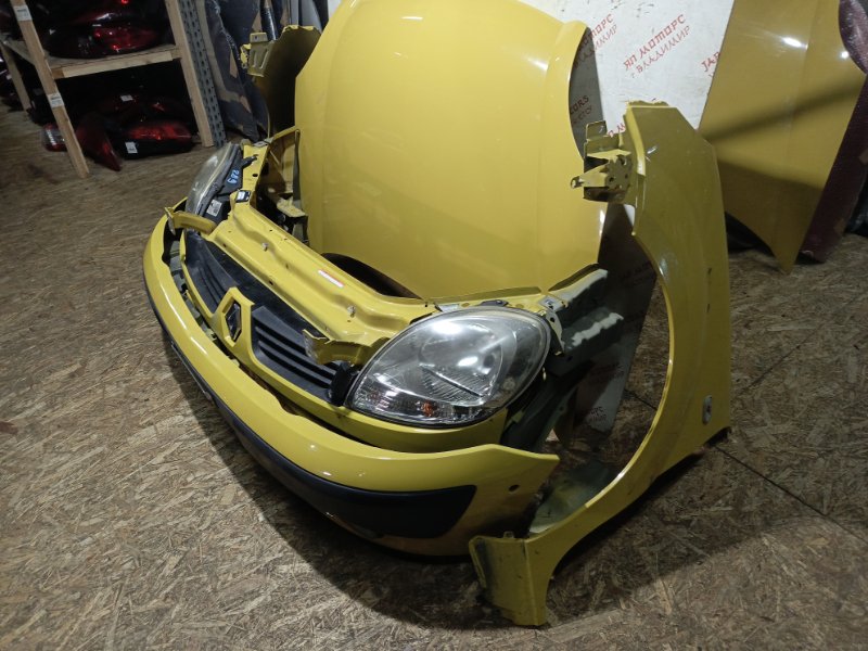 Ноускат, 48000 рублей, Владимир