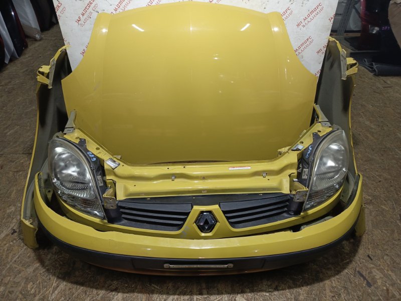 Ноускат, 48000 рублей, Владимир